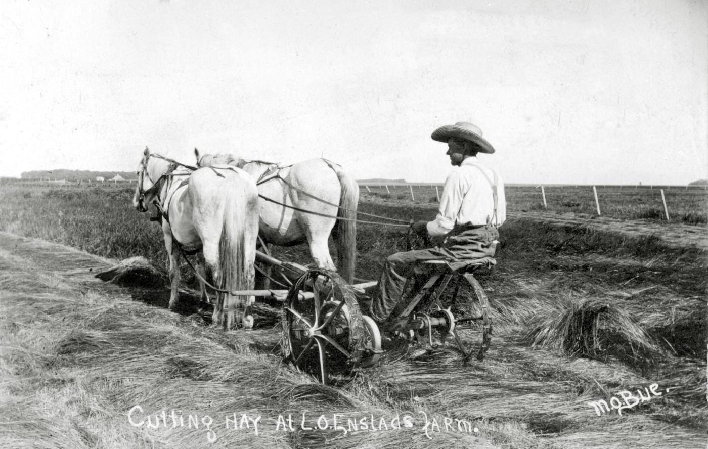 Slåmaskin dregen av to hestar.