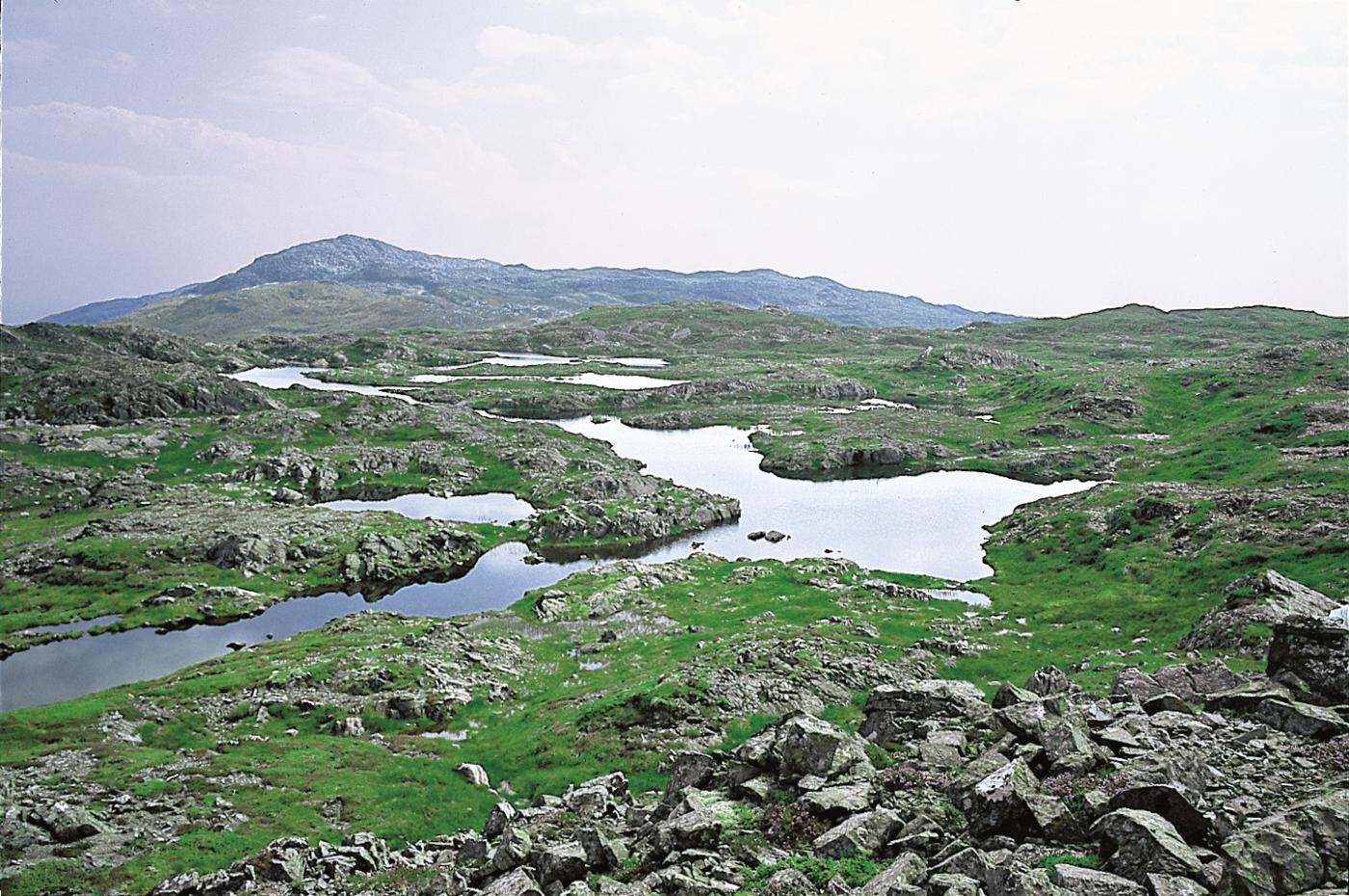 Frå Grønafjellet mot Kattnakken