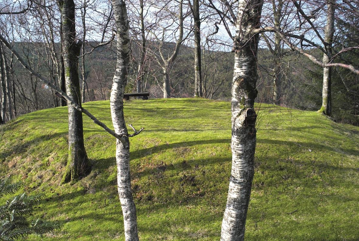 Kongshaugen på Hop, Askøy