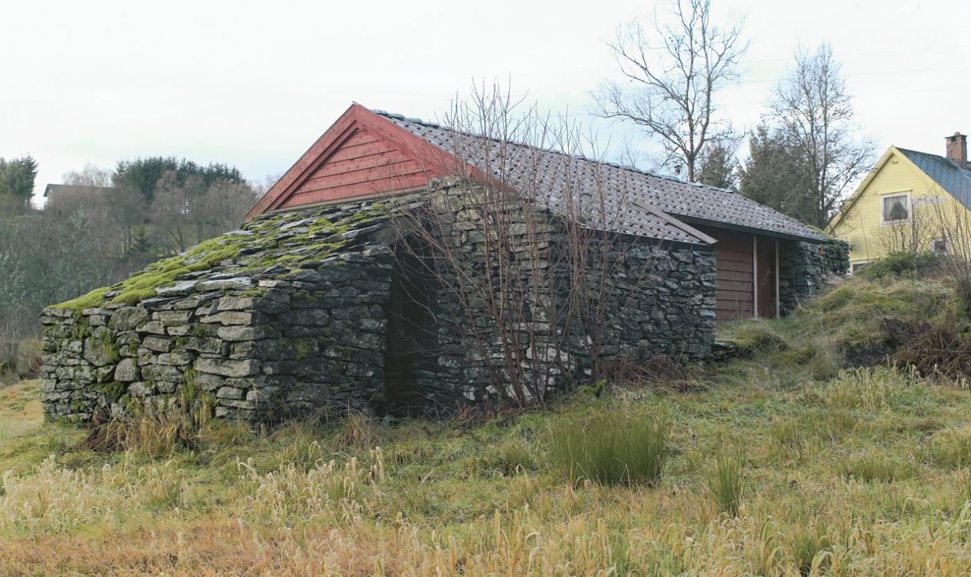 Ystebøtræet, Radøy