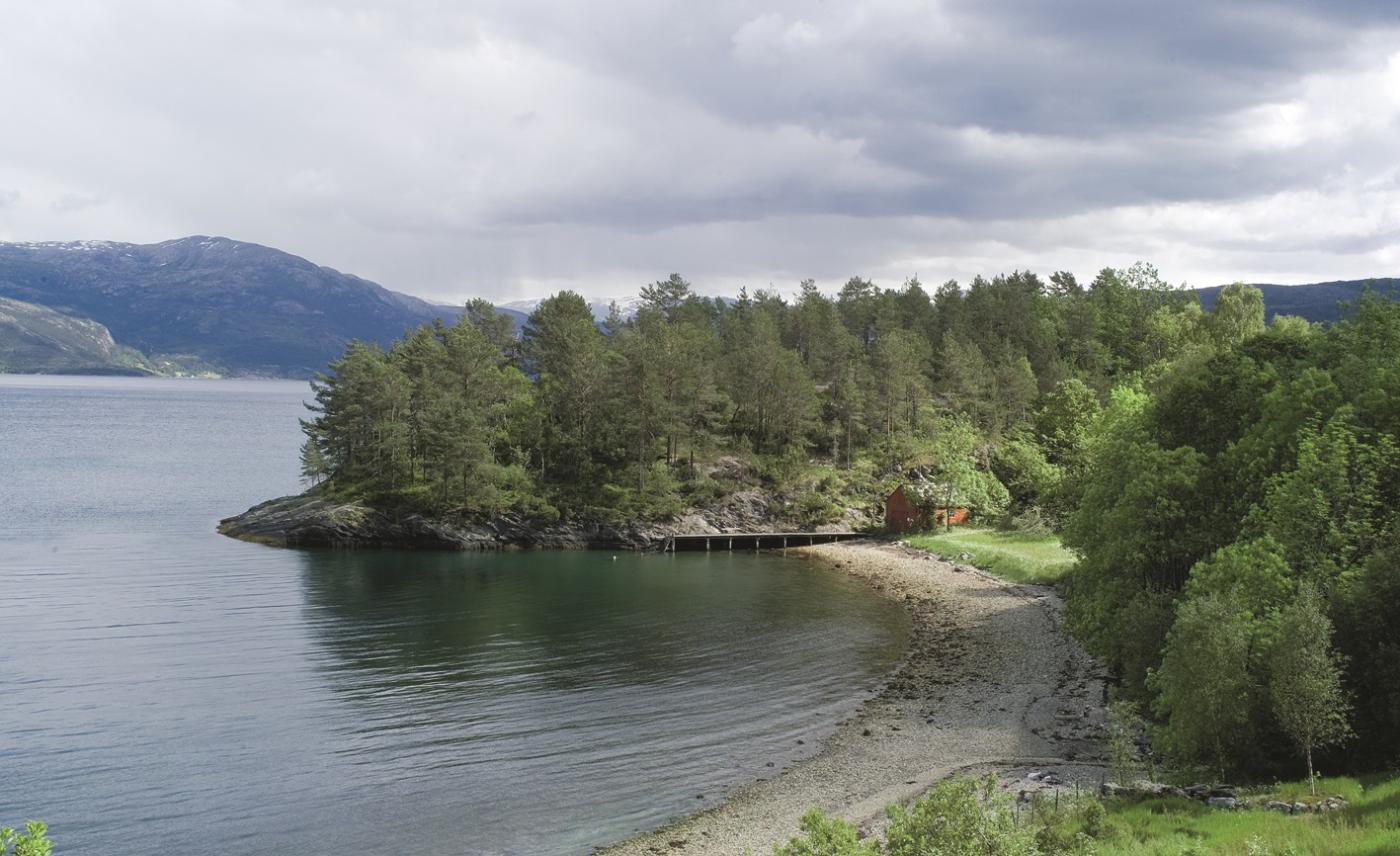 Skipsnaustet på Hamn