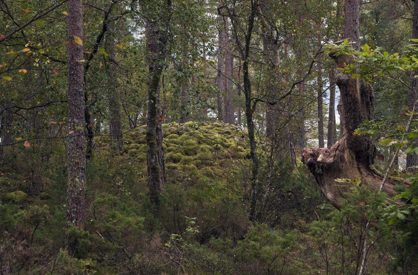 Gravrøys på Vikingnes 