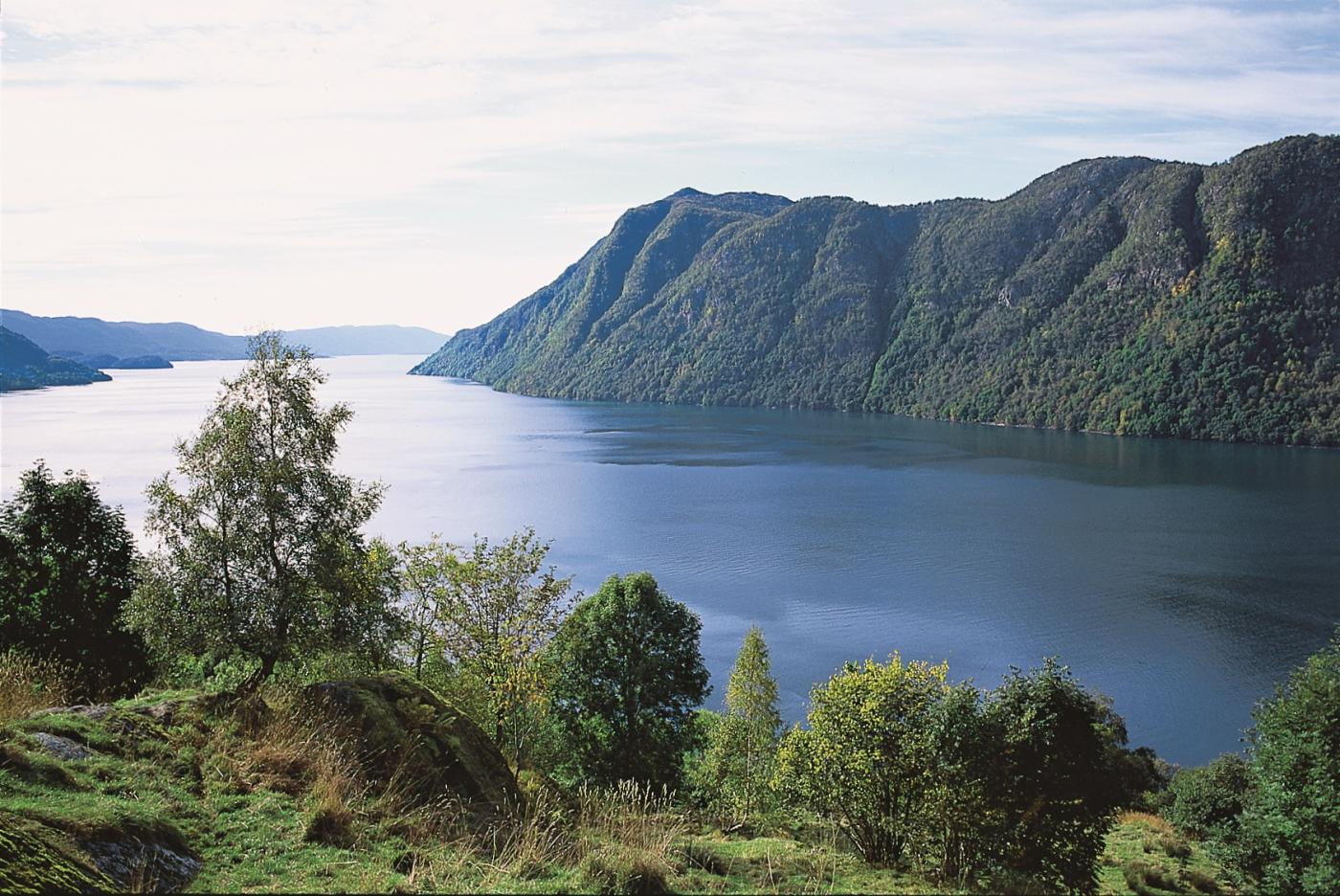 Matersfjorden med Holmedalsberget i bakgrunnen.