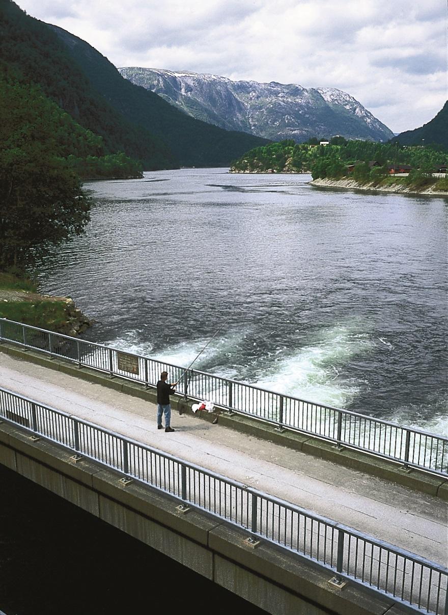 "Beste" lakseplassen i fylket 