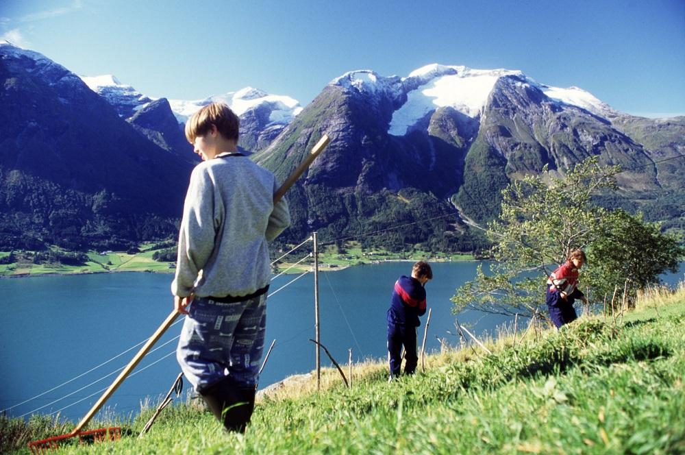 Etterrakst på Segestad. Onnekarane har god utsikt over Strynevatnet og over til Fosnes på sørsida.