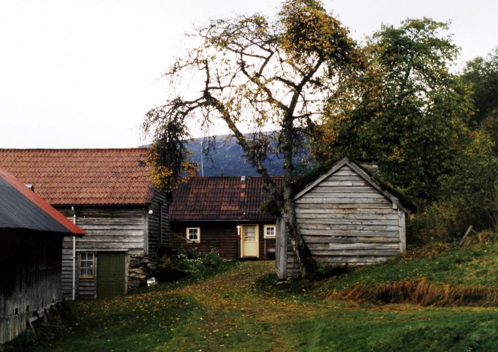 Liatunet. Bygningane ligg tett og for det meste på rekkje (rekkjetun), - frå venstre saga, nystova, røykstova og eldhuset.