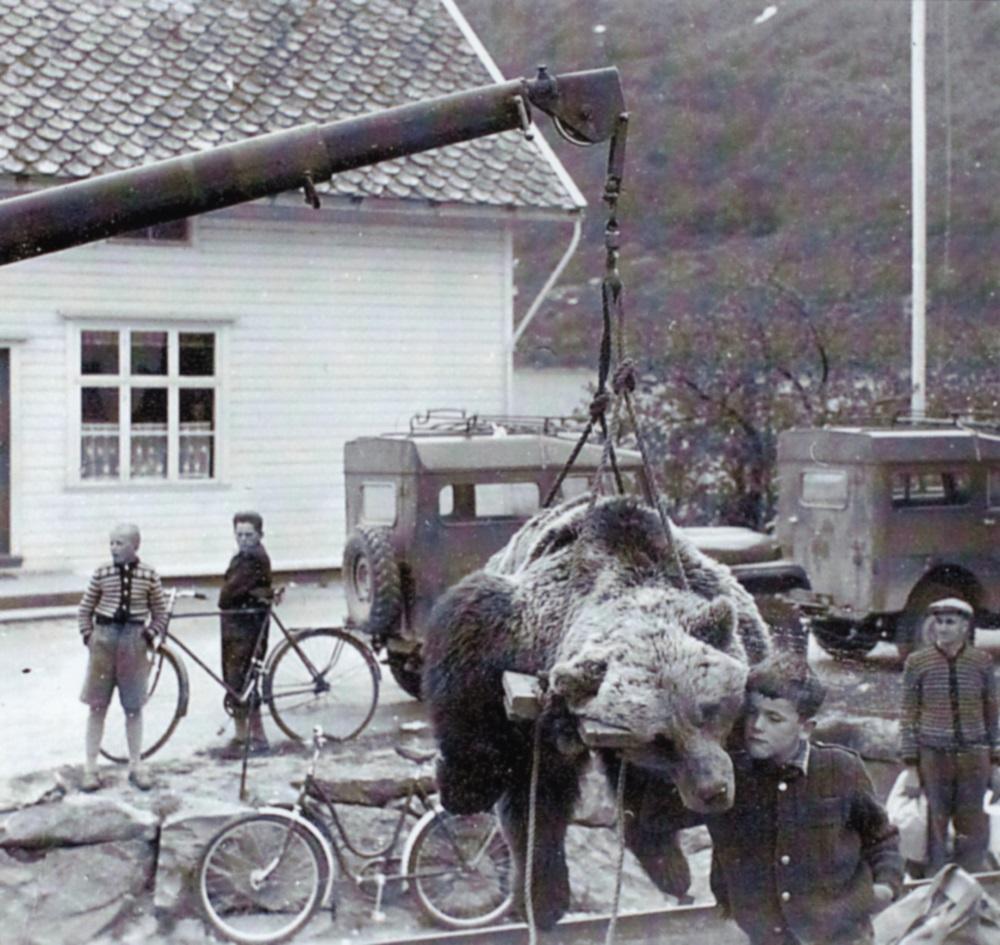 Bjørnen dei skaut i Leirdalen 25. mai 1956 vart frakta rundt på framsyning. Guten attmed bjørnen er Kjell Solem.