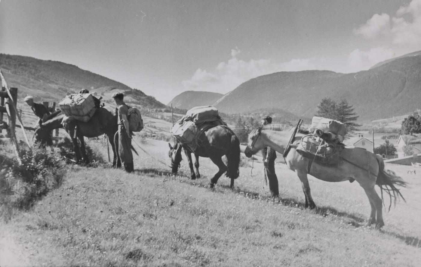 To menn og tre kløvhestar er på veg gjennom Setesdalen ca 1940-42.