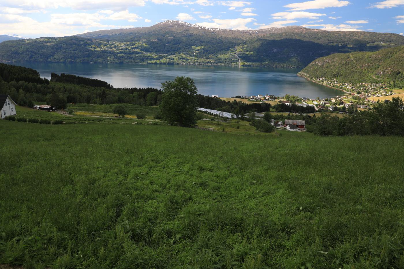 Likledet stod i Gamlevegen nede i denne bakken. Drageset i Innvik.