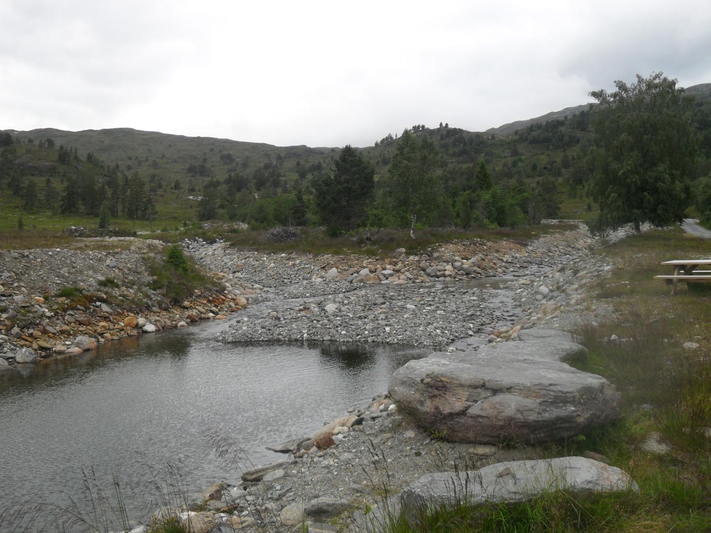 Kvilkjane på Leitet, Nordsida i Stryn.