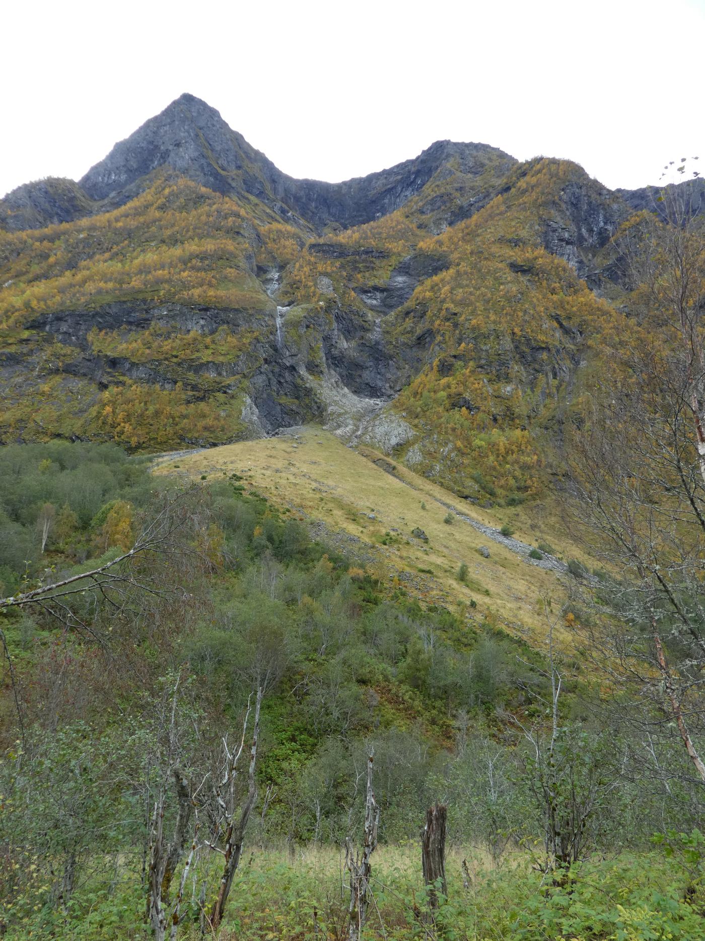 Heimsta Syringa i Fresvik, Vik kommune.