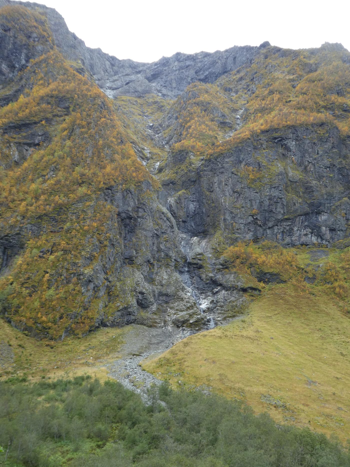 Fremsta Syringa i Fresvik, Vik kommune.