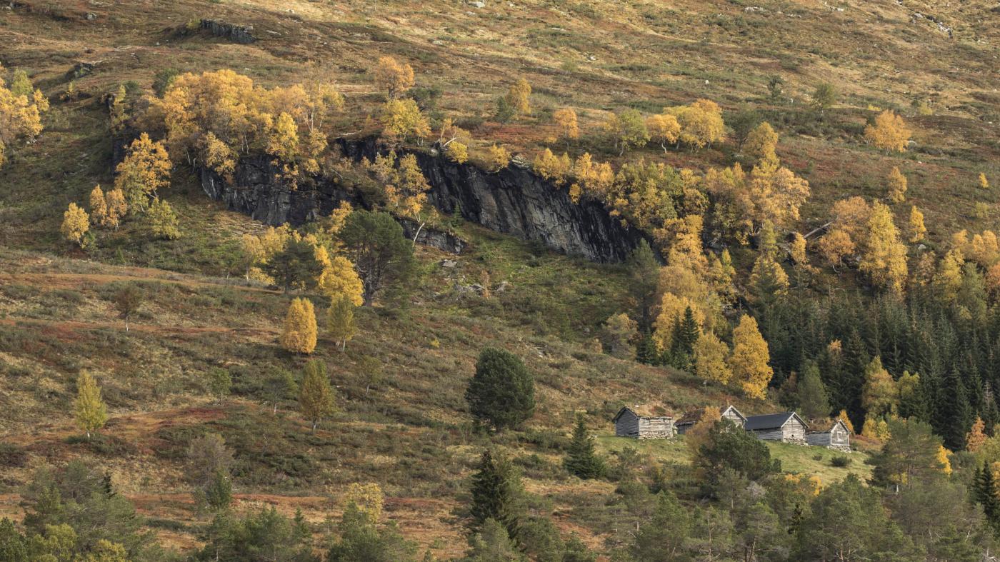 Ly(d)hammaren ved Bergsetstøylen