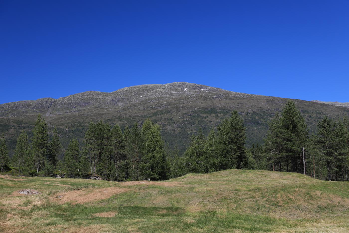 Gulekoppen, sett frå Maurhaug i Markane, Stryn kommune.