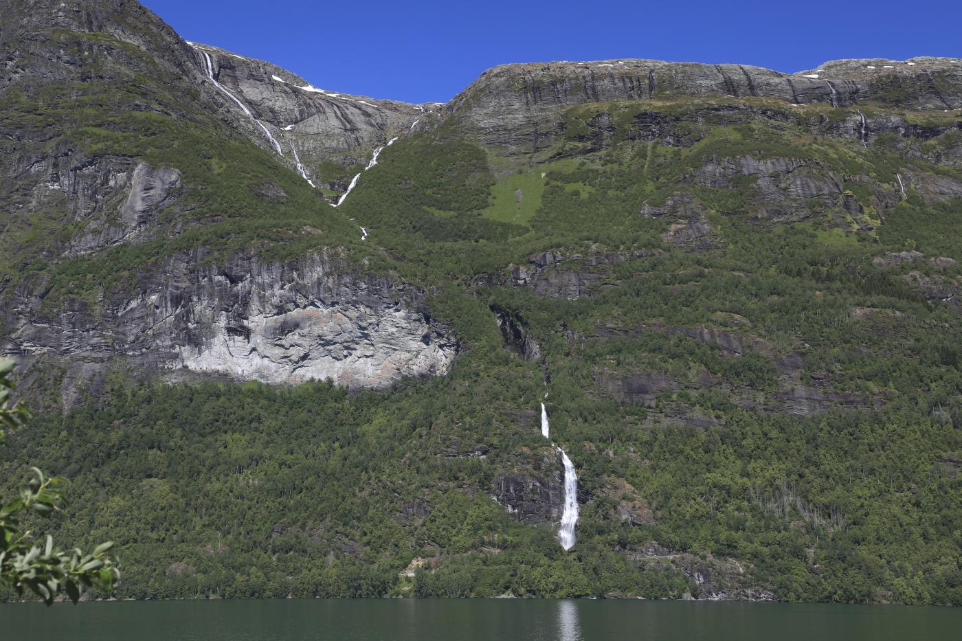 Marsåna i Oppstryn.