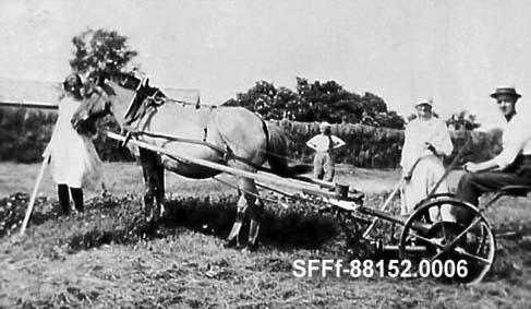 Slåtonn på Velomjorda på Færøy i Solund 1930-1935. Slåmaskina var innkjøpt før 1920 og var truleg den første i Solund. Personane er frå venstre: Agnes, Dina, mor deira Setera og sonen Vilhelm, alle med etternamn Færøy.