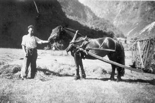 Ole Nilsen Skjerping (1906-1986), gardbrukar på Skjerpi, med hest og vogn. 