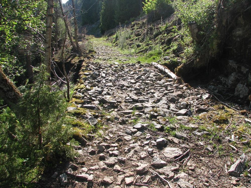 Frå gardsvegen til ytre Furefjerding 2007. Johan Lillestøl arbeidde med vegen alle åra han budde på garden, og han gjorde alt arbeidet med handemakt.