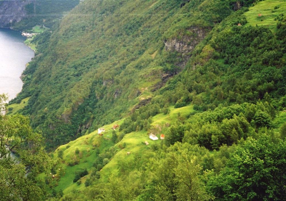 Dei to bruka på Stigen sett frå nordvest. Undredal ligg lenger inne, nede ved fjorden. Fristølen ligg oppe i høgre bilethjørnet.

