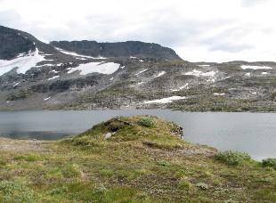 <p>Hervabua fotografert fr&aring; riksvegen mot Hervatnet. Dammen ligg like til h&oslash;gre for biletkanten.&nbsp;</p>