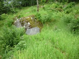 <p>Christie-steinen st&aring;r i Sunde-skogen, festa i ein betongfot attmed ein bergknaus.&nbsp;</p>