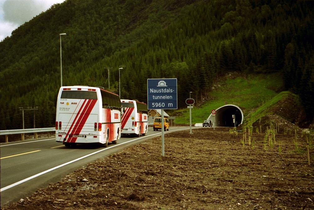 Vegvesenet la vekt på at tunnelopningane skulle gli godt inn i landskapet og  planta difor tre, buskar og blomster på begge sider. 

 
