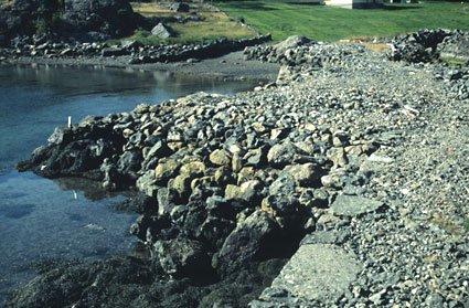 "Steinhavet" nedfor ein av gardane i Steinsund. Då gardshusa her vart oppsette i 1920, var det berre råd å køyre til sjøs med hest og slede, der bakkane i dag er oppdyrka. Men Hans O. Steinsund, saman med borna, hadde godt mod på steinen. Det minste snøkast var nok til at hesteselen kom på. Stor eller liten, mest kvar einaste stein me ser her, er transportert frå dyrkingsfelt og urer, til sjøs med hest og steinslede.
