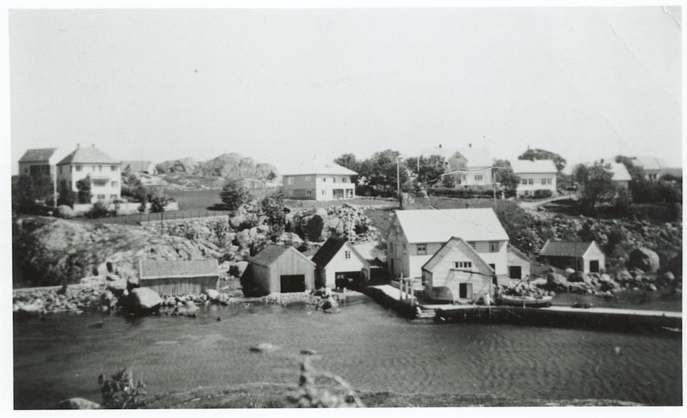 Alt før 1940 var Vilhelm T. Færøy i sving med å byggje ein molo, vòren, på vestsida av Færøy til vern mot vêrharde Lågøyfjorden. Han braut opp ei mengd stein på bøen og frakta til sjøs med hest og slede. Sidan fjerna han ei enorm ur på eigedommen sin. Når sønene var heime frå fisket, tok dei sin tørn med muring og steintransport. År ut og år inn arbeidde Vilhelm med dette steinprosjektet. Biletet frå kring 1950 viser ein del av vòren, all stein er ryddestein frå eigen gard.
