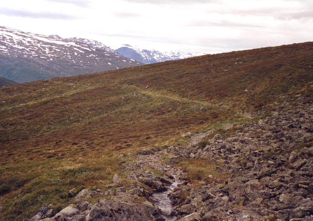 Vatningaveita ved inntaket i elva Kolsa. Veita går nedover på vestsida av Kvammadalen. I bakgrunnen ser me fjella sør for Aurlandsvangen.