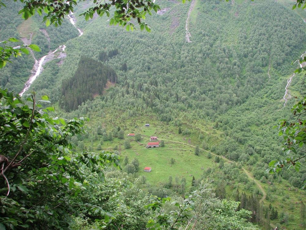 Blåbærstølen sett frå ein stad oppe i lia på nordsida av Horpedalsdalen. Elva til venstre kjem ned frå Vetlebotn og Storebotn øvst i Steindalen. Den gamle stølsvegen til fjellstølen Steindalen går opp på høgre sida av skogateigen og fylgjer elva oppover.