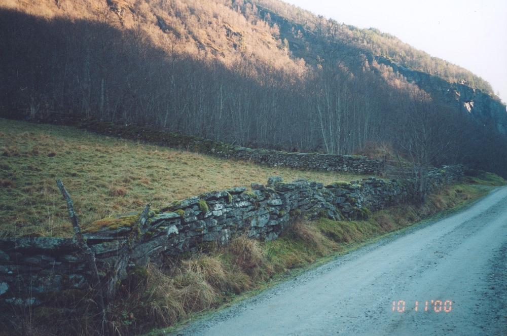 Det går bilveg langt fram i Dalsdalen. Det går steingjerde langs vegen mange stader, og kring slåtteteigane.