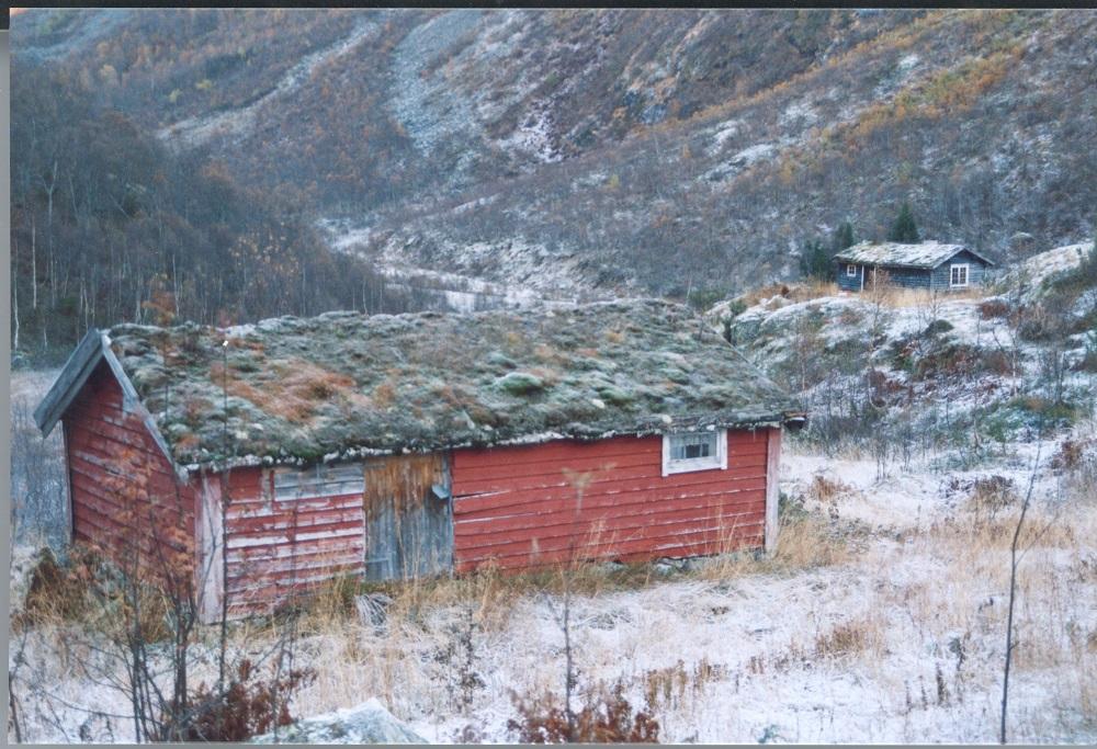 To av sela på stølen Bjørnstegane i Stordalen, som ligg eit stykke heimom Fåbergstølen.