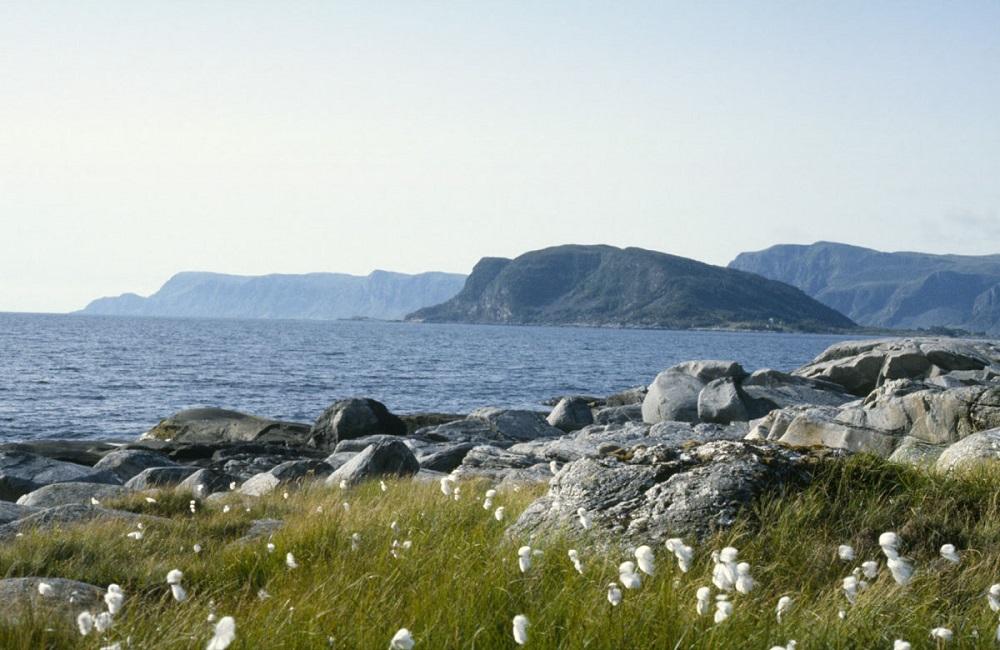 Selja sett frå fastlandet med Stadhalvøya 