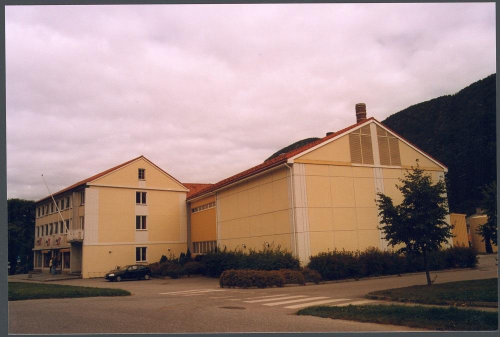 Vik Meieri, som produserer gamalost, ligg på Vikøyri på det som var garden Sæbø sin grunn. Vik Meieri var 100 år i 1997 og har gjennomgått store endringar.