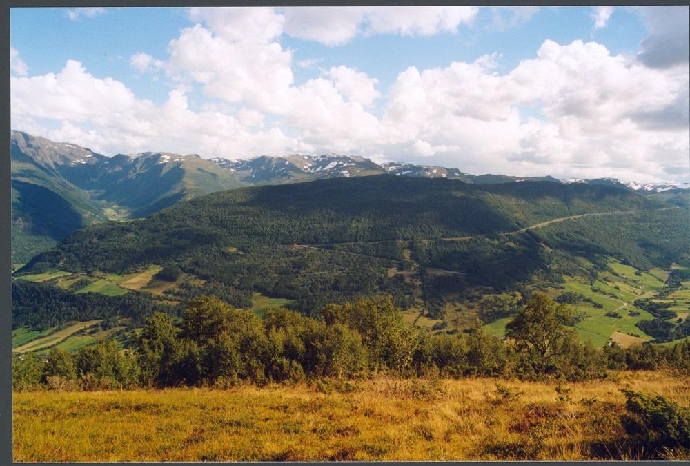 Her ser me kvar Storesvingen ligg, på vegen Vik-Voss, før oppstiginga til Vikafjellet. Biletet er teke frå Bøeggi.