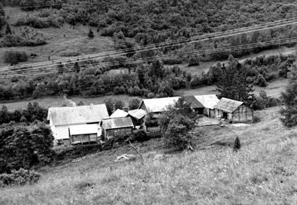 Tunet på Bergheim. Tunet er plassert slik at det ikkje gjekk med produktiv eng. På Bergheim er det mange gamle hus, og kornbrotet som heilt til høgre har ein interessant byggjemåte.