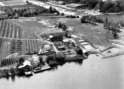 Garden Hauglum i Fresvik. Me ser stovehus, sagbruket nede ved fjorden, driftsbygning, garasje og naust. Attmed husa stamlaksbassenget. Vatn til sagbruket vart leidd i veit frå der me ser idrettsbana. Lengst borte ser vi Fresvik Produkter.