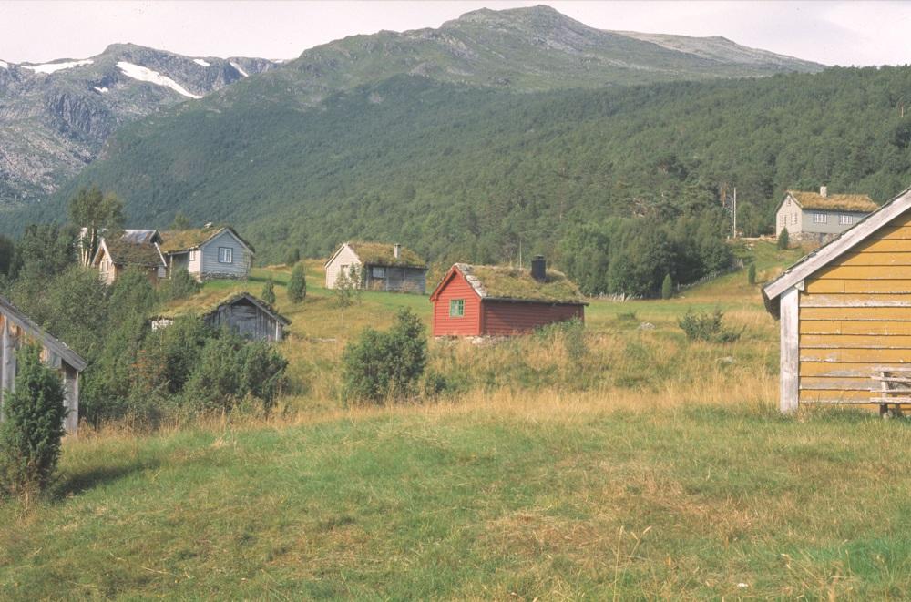 Ryggjastøylen, med hus i grupper.