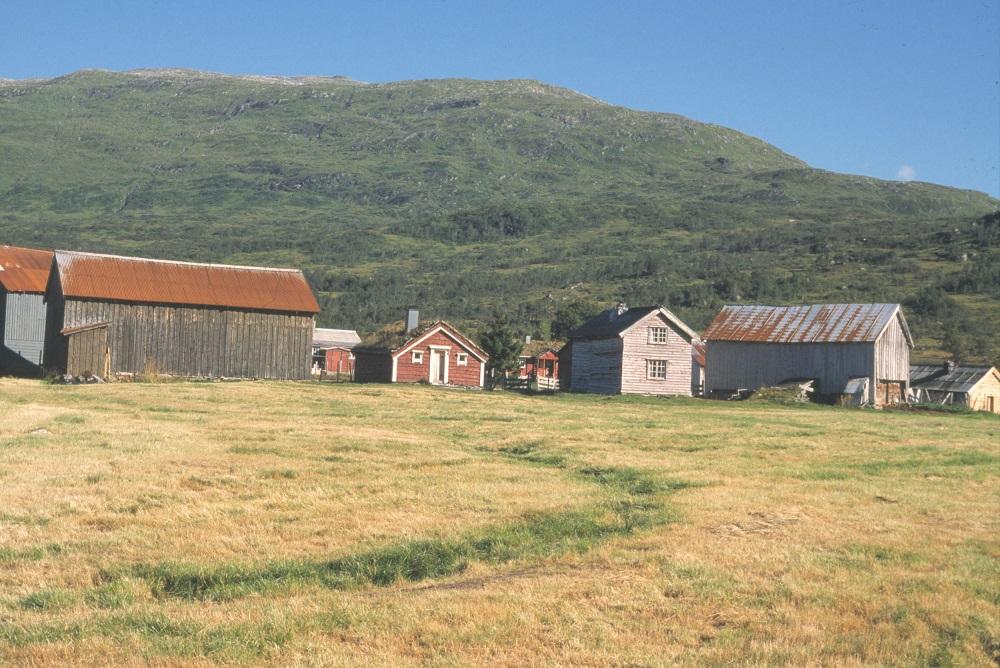 Gjengedalstølen med dyrka mark, sel og store uthus.