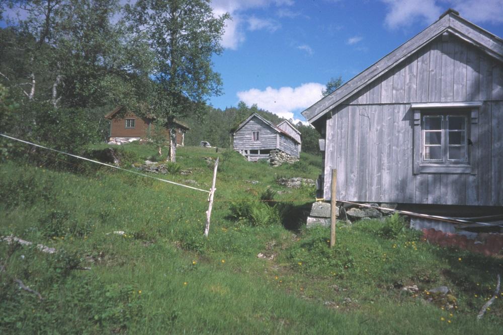 Dalestølen.
