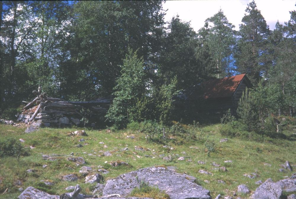 Vassendestølen med to fjøs og eitt sel.