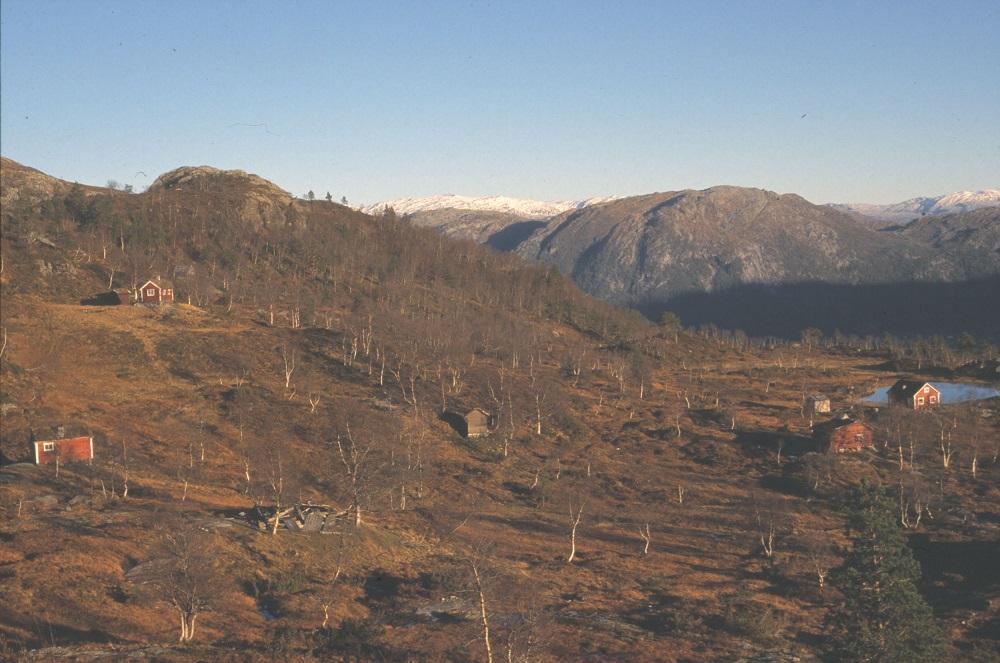 Øvre delen av Solheimsstøylen.