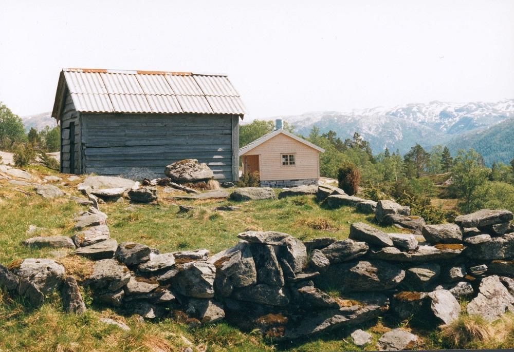 Hustuft, gamalt sel og nytt sel på Solheimsstøylen.