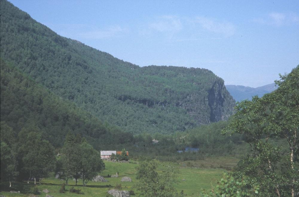 Den store stølskvia med husa. På fjellhylla bak ligg Hyenesstølen.