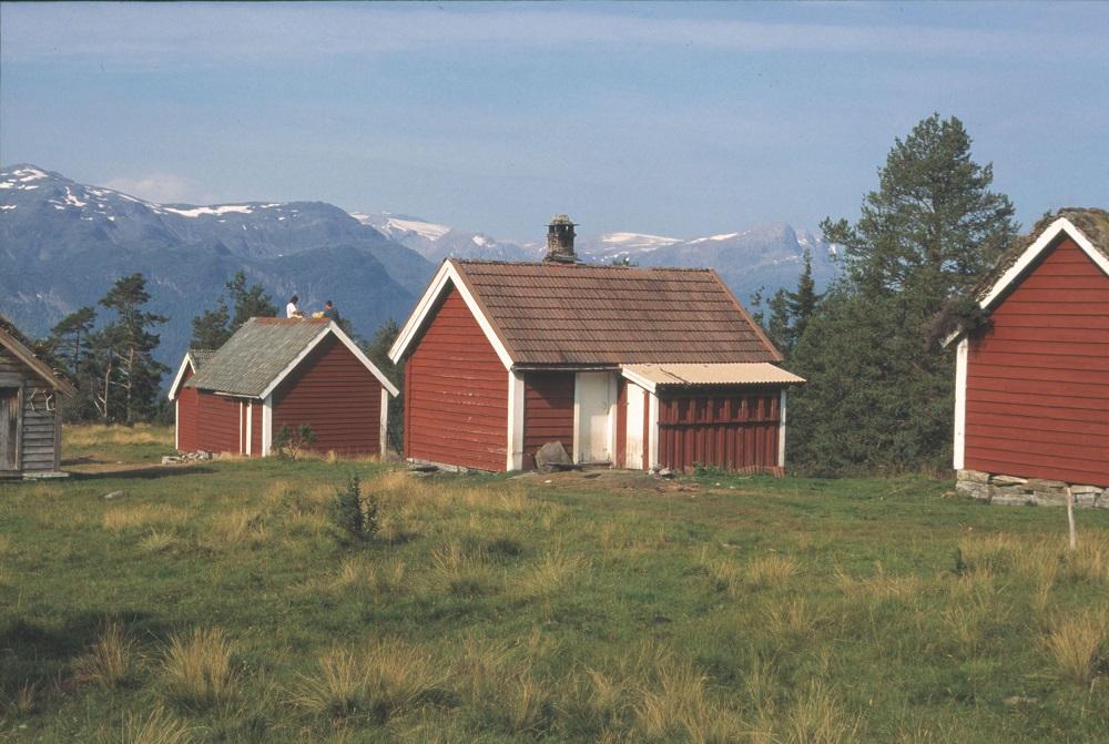 Frå Føleidestølen, med velstelte sel på stølskvia.