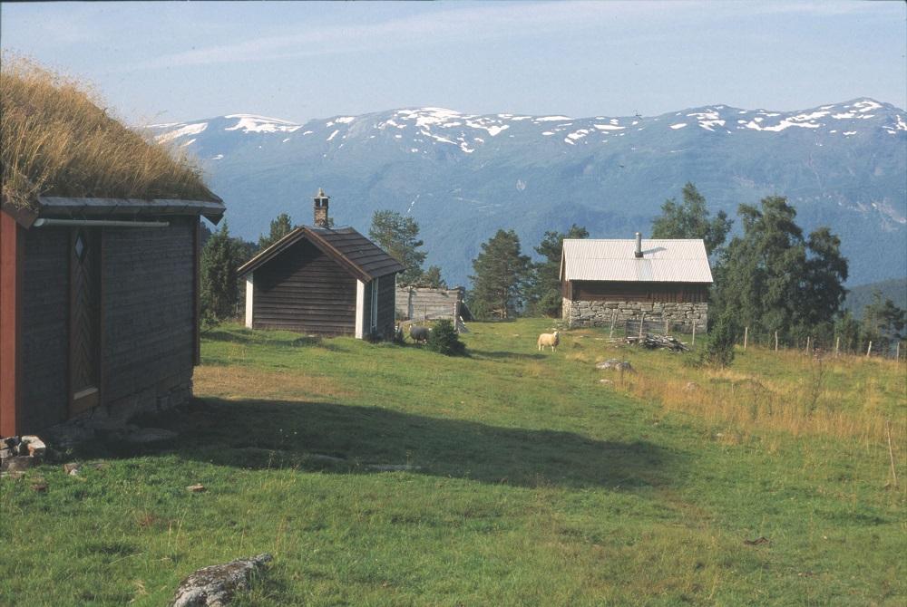 Stølshus på Ryestøylen med sel oppe. Sett frå Føleidsstøylen.