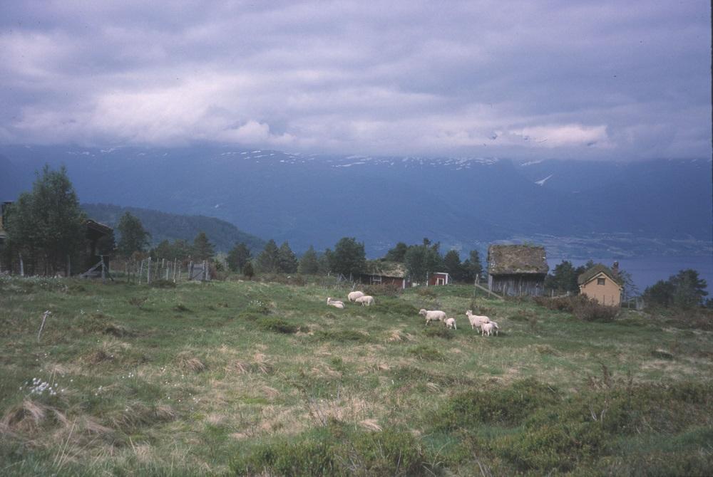 Oversikt over Engesetstølen.