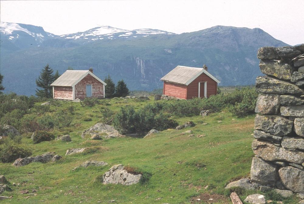 Skinlostølen med stølskvie og sel, og fjøsmurar ovanfor.