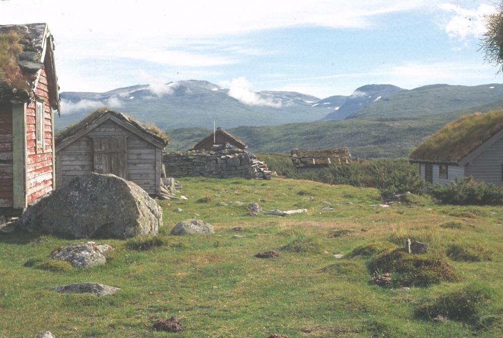 Holestølen med eldre og nyare sel. Fin stølsvoll.