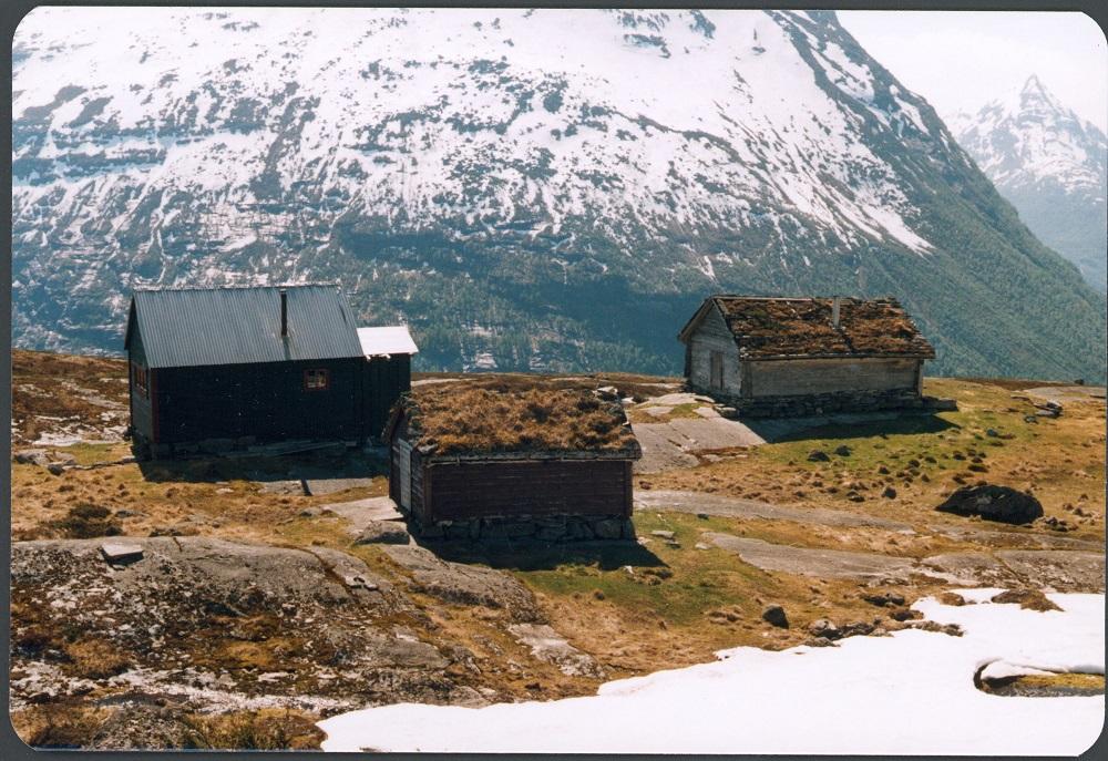 Torheimstølen med Bøafjellet bak.